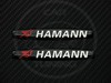    Hamann 30169